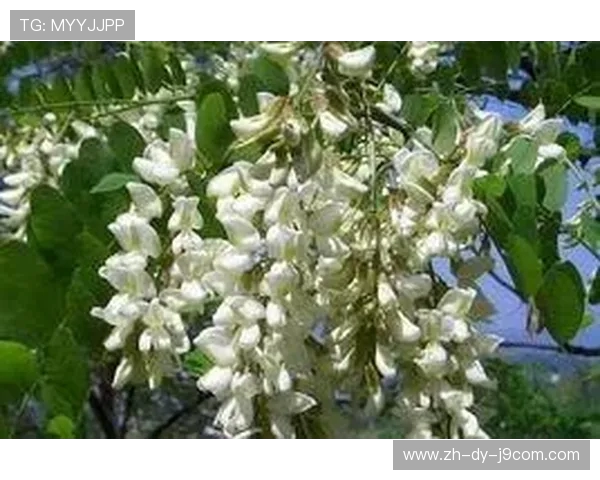 全面解析篮球足球支架使用方法与安装技巧安全维护实用指南教程详